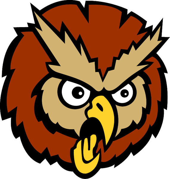 Owl mascot Head 1 sports decal. Reflect school pride! 